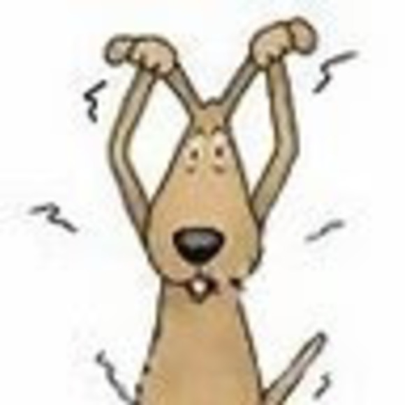 Meet your Posher, Jana - Picture 1 of 1